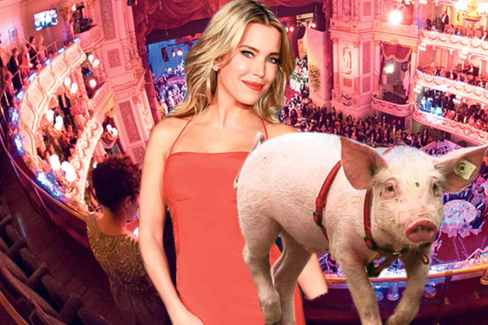 Beim SemperOpernball: Sylvie Meiss lässt die Sau raus!
