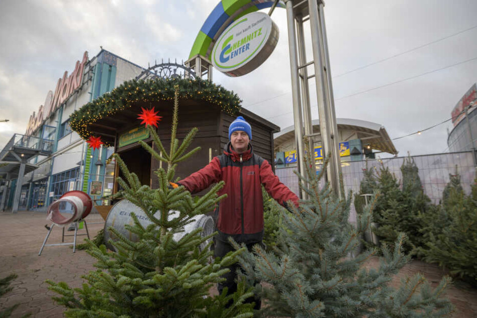 Nordmann-Tanne links, Blaufichte rechts: Marcel Scheithauer (42) verkauft am Chemnitz-Center Christbäume der Firma Eschenbach.