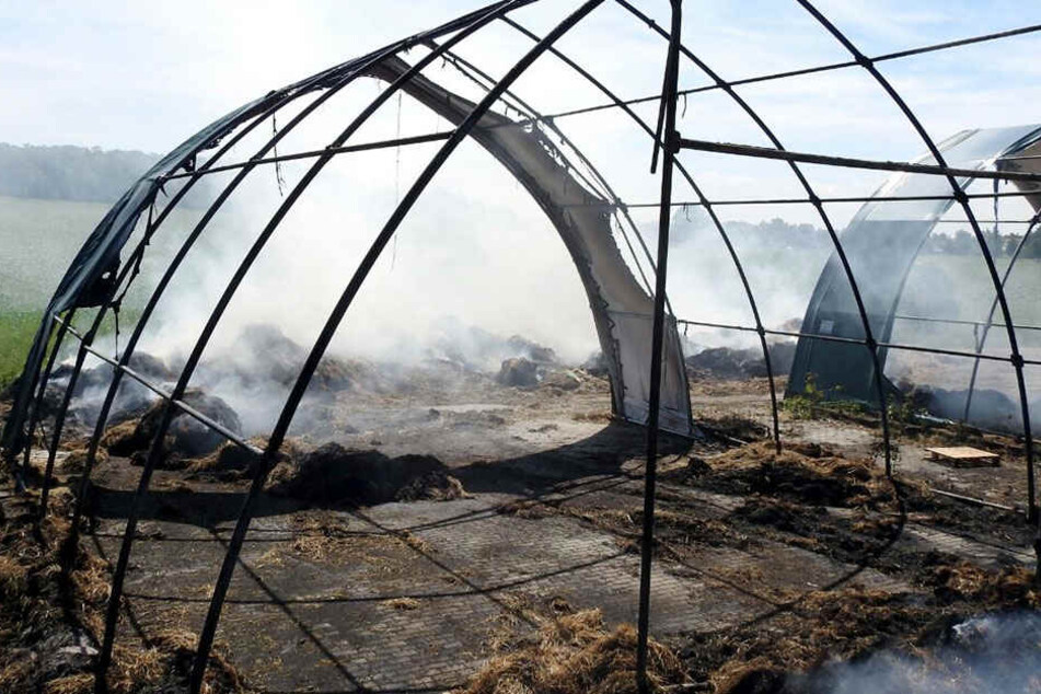In den Zelten waren Strohballen zur Tierfütterung untergebracht.