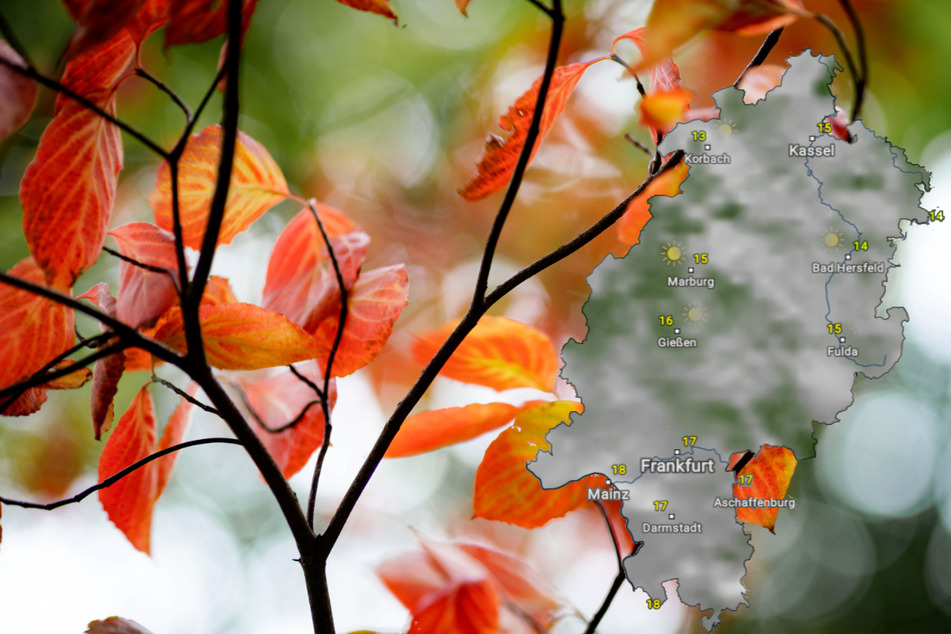 In dieser Woche weht sehr viel Herbststimmung durch Hessen. (Symbolbild)
