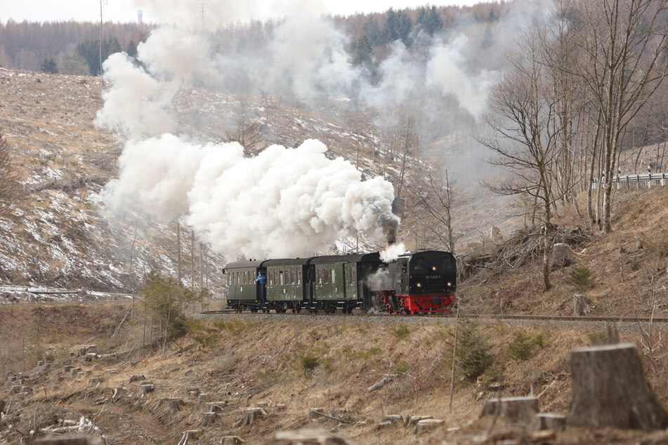 Wird die Waldbrandgefahrenstufe 5 ausgerufen, fahren die Harzer Schmalspurbahnen ab sofort nicht mehr mit Dampfloks. (Archivbild)