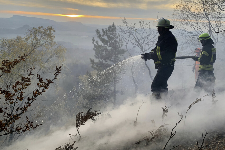 Waldbrand in der Sächsischen Schweiz: Illegales Lagerfeuer sorgt für Feuerwehreinsatz!