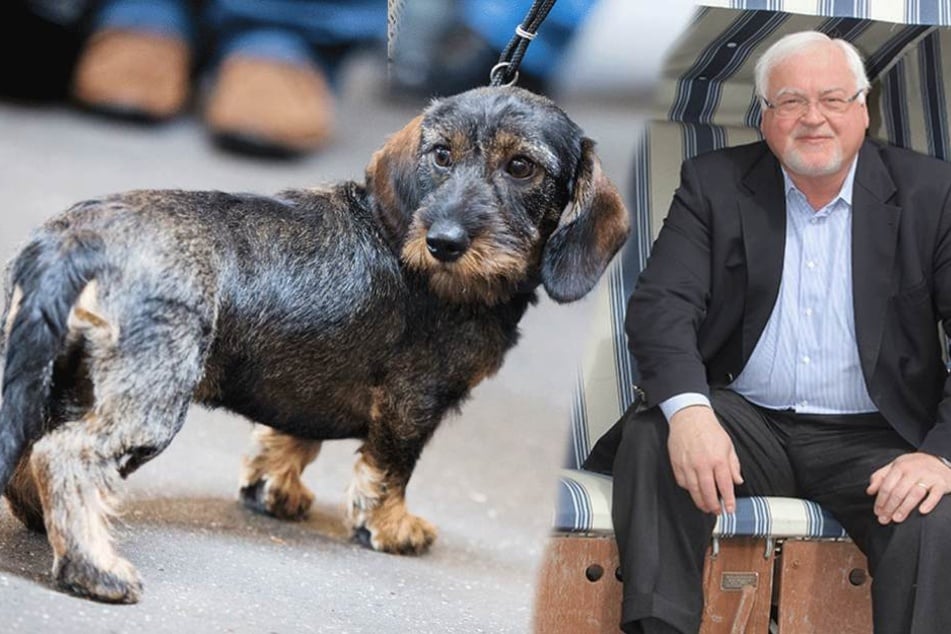 Peter Harry Carstensen (CDU) wählte nicht, weil der Dackel krankte...
