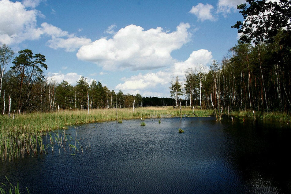 Naturpark Dübener Heide in Nordsachsen: Die dünne Besiedlung könnte in Corona-Zeiten ein Vorteil sein.