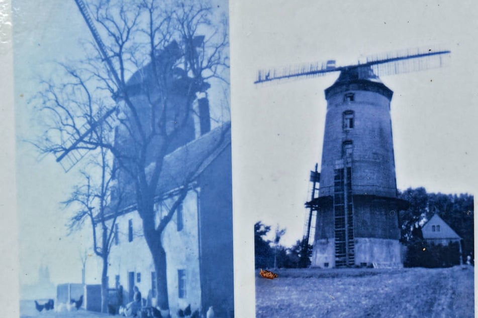 Bis 1945 stand auf dem Proschwitzer Bocksberg eine weithin sichtbare Holländerwindmühle.