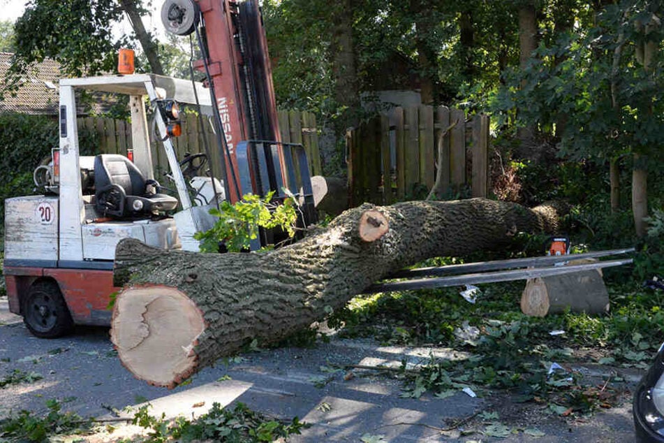Ein Gabelstaplerfahrer eilte den Verunglückten zur Hilfe.