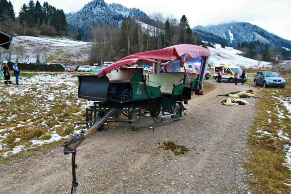 Die Kutsche stieß mit einer anderen zusammen und kippte um.