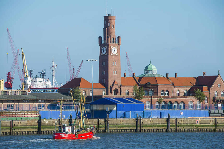 Der Hamburger Hafen ist ein Touristenmagnet. Wer keine Rundfahrt machen möchte, kann ein paar Haltestellen mit öffentlichen Fähren fahren, die über die Elbe und auch durch den Hafen fahren. Rad mitnehmen ist da erlaubt.