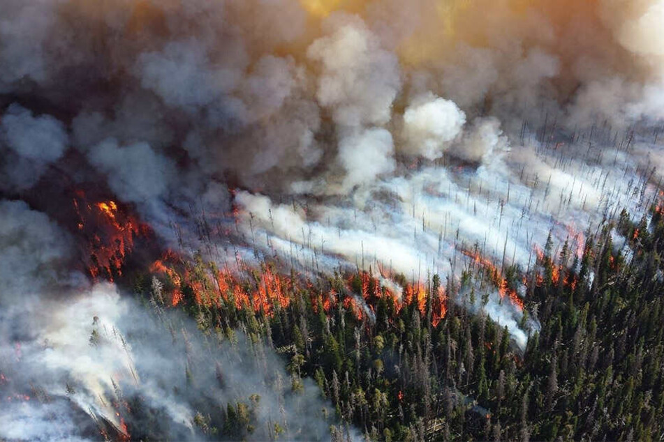 Gewaltige Flammen verschlucken die Wälder im Osten Russlands.