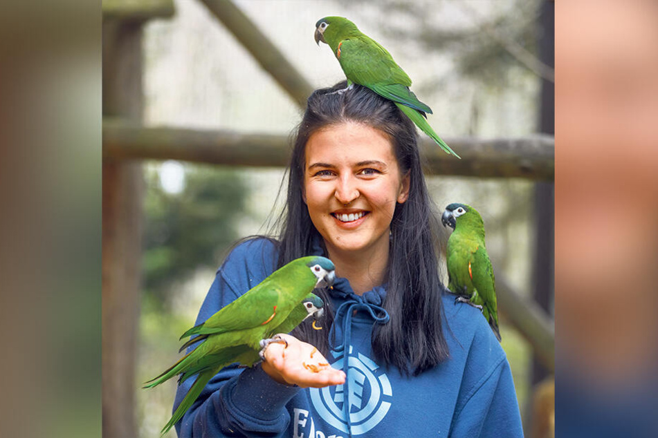 Im Zoo der Minis füttert Josephine Nöbel (18) die süßen Piepmätze.