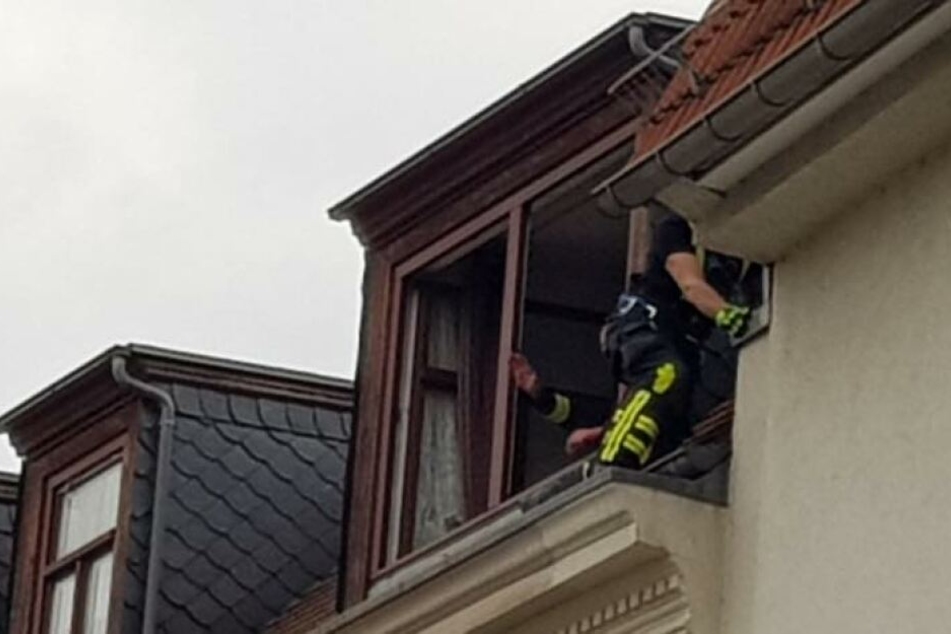 Ein Kamerad kletterte über die anliegende Dachgeschosswohnung aufs Dach und befreite den Vogel.