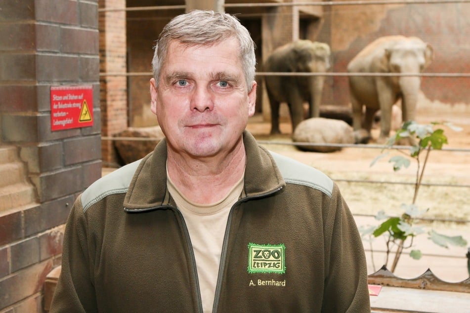 Dr. Andreas Bernhard (64) verlässt den Zoo nach 32 Jahren.