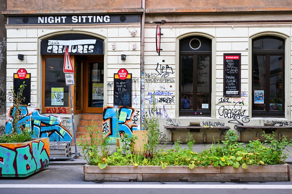 Mit den Hochbeeten erprobt die Stadt Elemente zur Straßenraumbegrünung und zur Verbesserung der Aufenthaltsqualität in der Louisenstraße - so auch vor der Kneipe "Little Creatures".