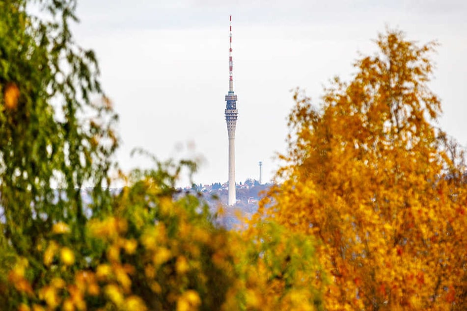 Der Dresdner Fernsehturm war vor 1991 ein beliebtes Ausflugsziel. Dann wurde das 252 Meter hohe Wahrzeichen der sächsischen Landeshauptstadt für Besucher gesperrt.