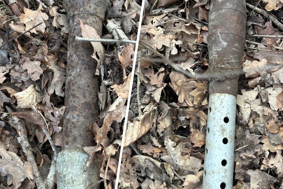 Schock beim Wald-Spaziergang: Mann findet mehrere Granaten