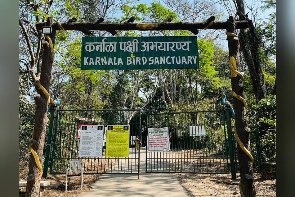 Der Vorfall ereignete sich im Karnala Bird Sanctuary - einem beliebten Ausflugsziel im Großraum Mumbai.