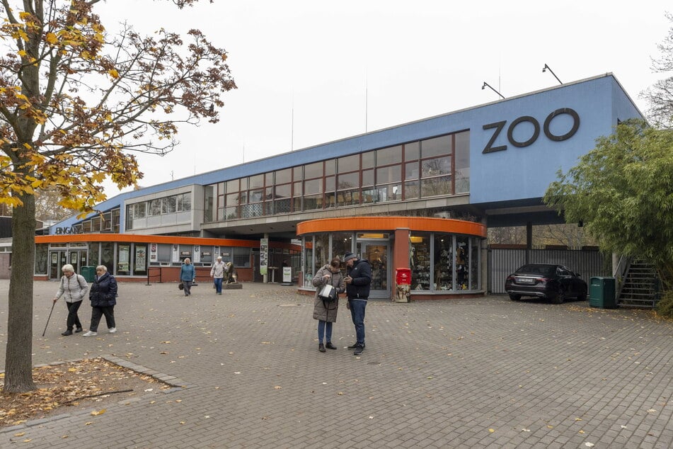 Knapp 800.000 Besucher erkundeten 2023 den Zoo Dresden. Darunter zahlreiche alte und behinderte Menschen.