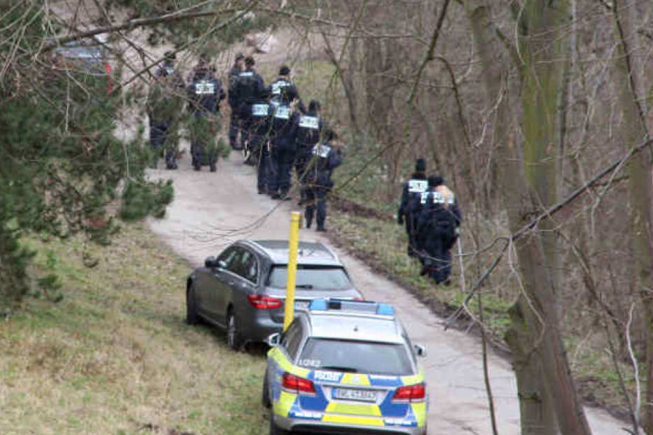 Polizisten suchen bei Mannheim in einem Waldstück nach Hinweisen zur Tat. (Archivbild)