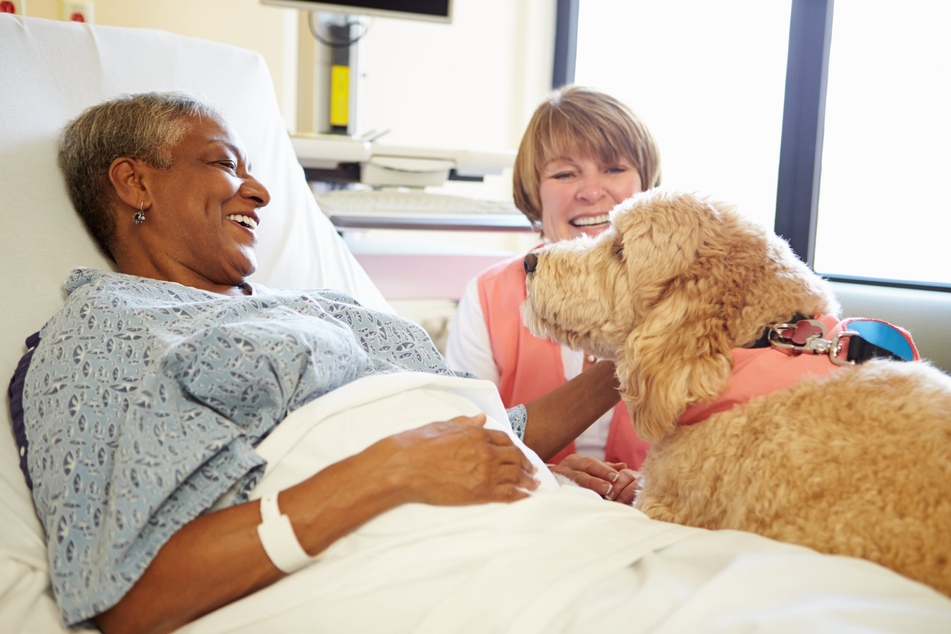 Allein die bloße Anwesenheit eines Hundes kann sich bereits positiv auf die Gemütslage der Patienten auswirken.