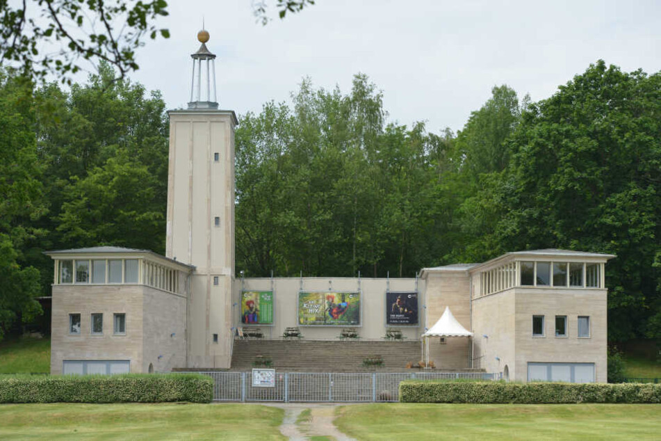 Dieses Jahr feiert der Verein Küchwaldbühne sein zehnjähriges Jubiläum.