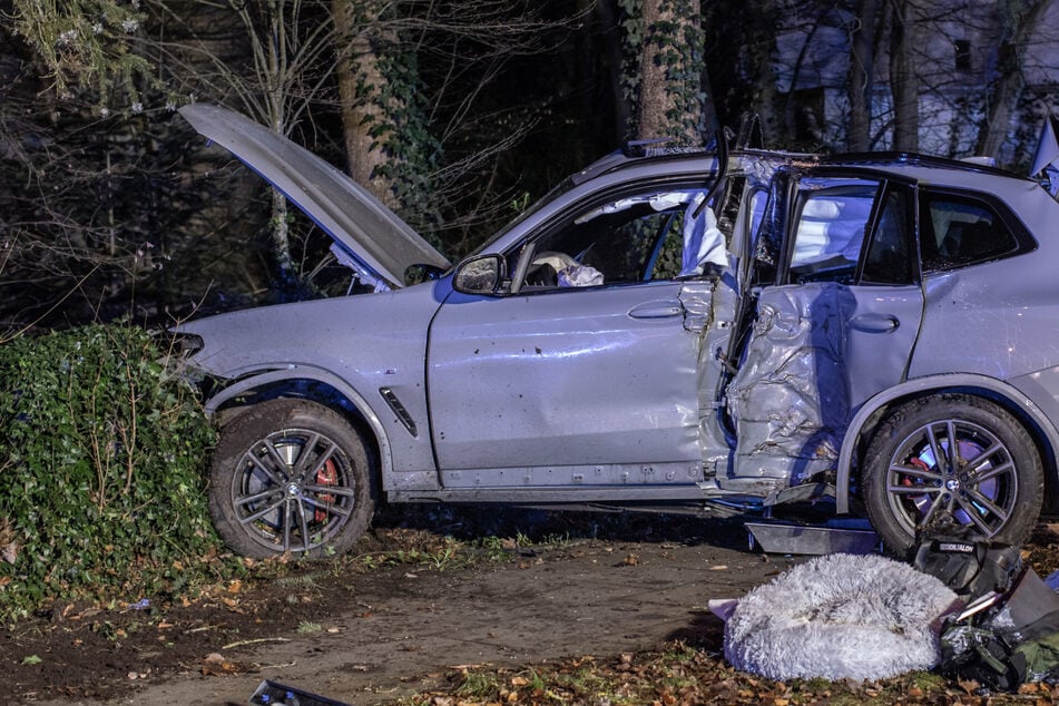 BMW schleudert nach Unfall gegen Baum: Zwei Verletzte, Hund stirbt