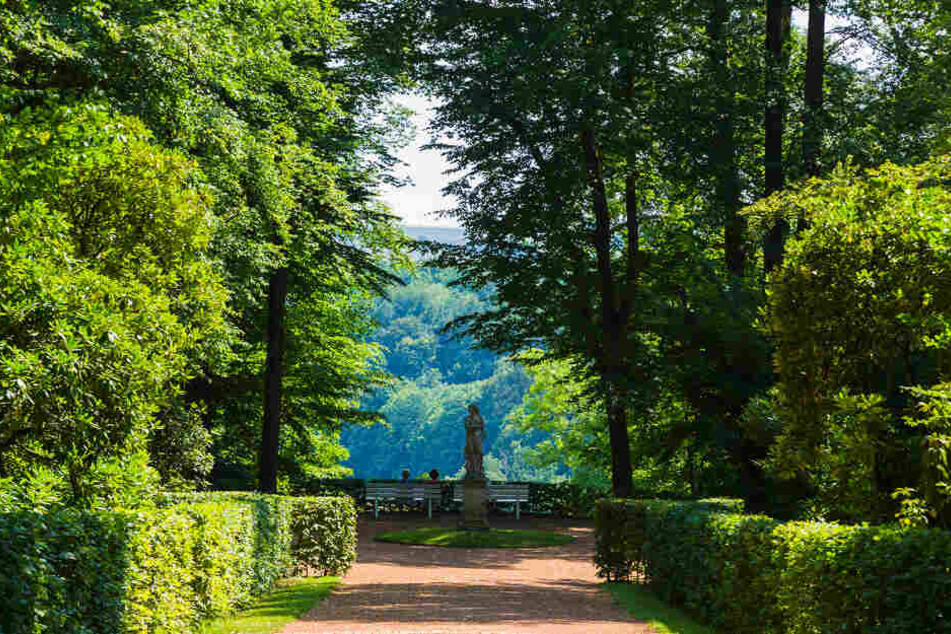 Das Schloss Lichtenwalde der Gemeinde Niederwiesa ist von von einem Barockpark mit zahlreichen Wasserspielen umgeben. 2005 wurde die Anlage zu einem der schönsten Parks in Deutschlands gekürt.