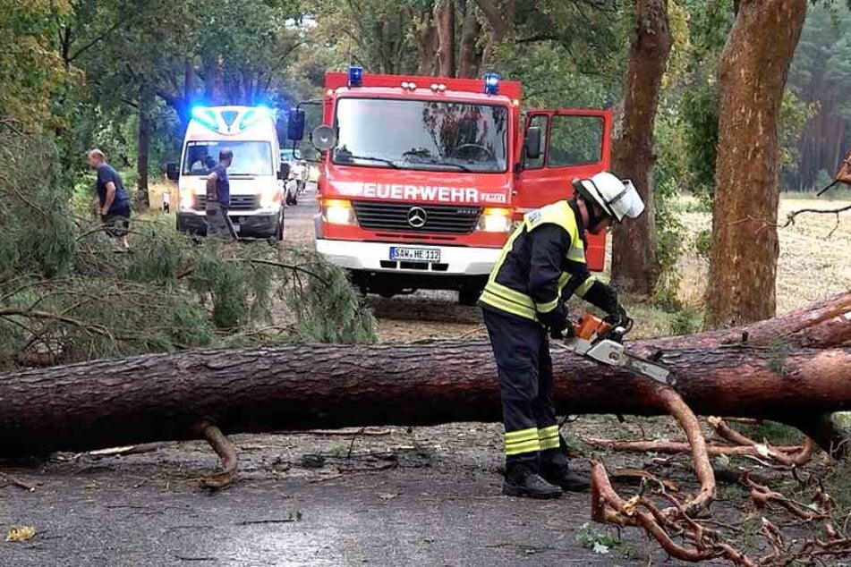 In der Nähe von Gardelegen (Sachsen-Anhalt) stürzten gleich mehrere Bäume auf eine Landstraße, schlossen Autofahrer und sogar einen Rettungswagen im Einsatz ein.