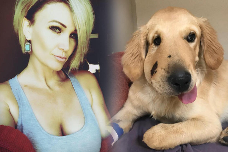 Paula Godwin wurde von ihrem Hund Todd gerettet.