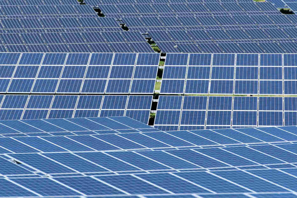 Diebe klauten in Breitenbrunn 184 Solarmodule. (Symbolbild)