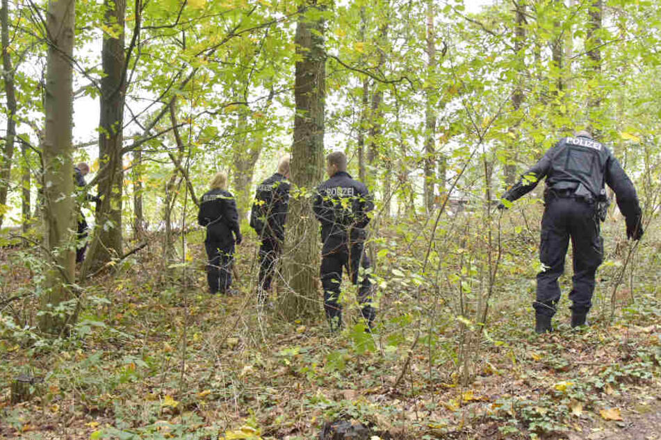 Auch das Gestrüpp zwischen den Bäumen suchen die Polizisten ab.