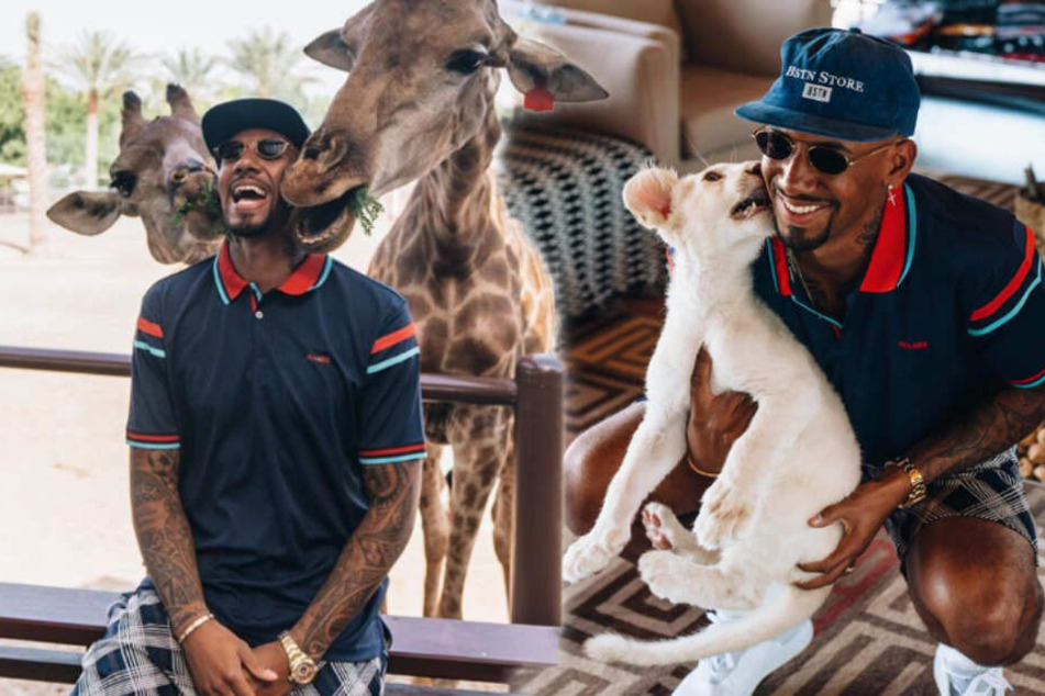 Jérôme Boateng hatte seinen Spaß mit den Tieren des Fameparks in Dubai. (Bildmontage)
