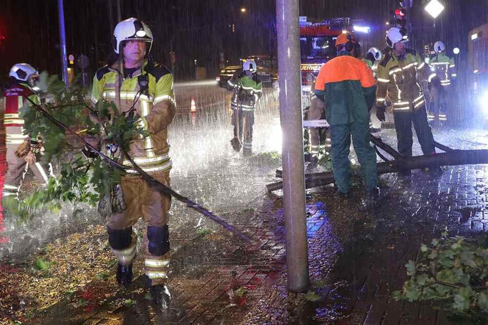 Auch an der Nossener Brücke/Ecke Chemnitzer Straße musste ein umgestürzter Baum beseitigt werden.