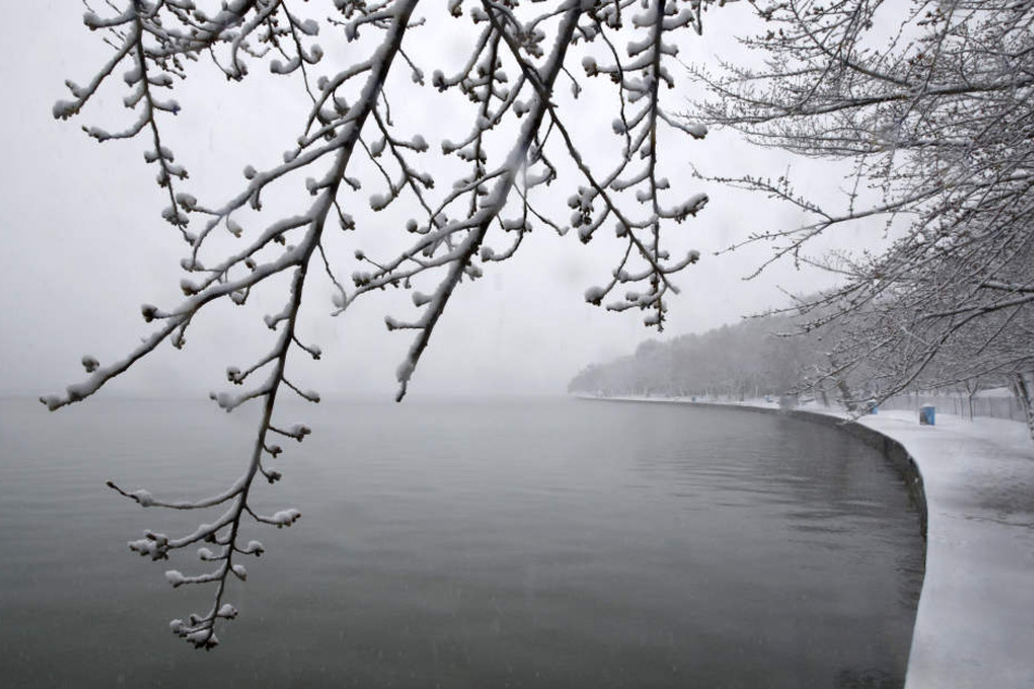 Die Ostküste der USA kommt nicht zur Ruhe. Erneuter Wintereinbruch.