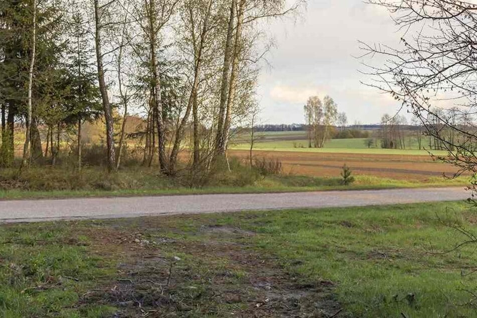 Der Teenager war zu Fuß auf einem verlassenen Feldweg wie diesem unterwegs. (Symbolbild)