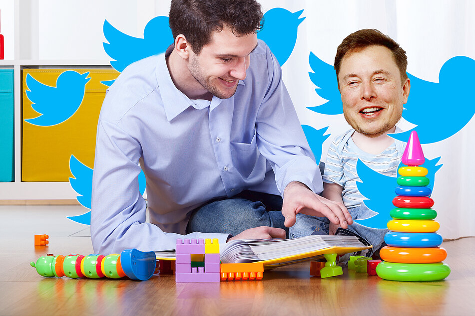 Elon Musk: Elon Musk's Twitter sitter could soon end up checking more of his online musings