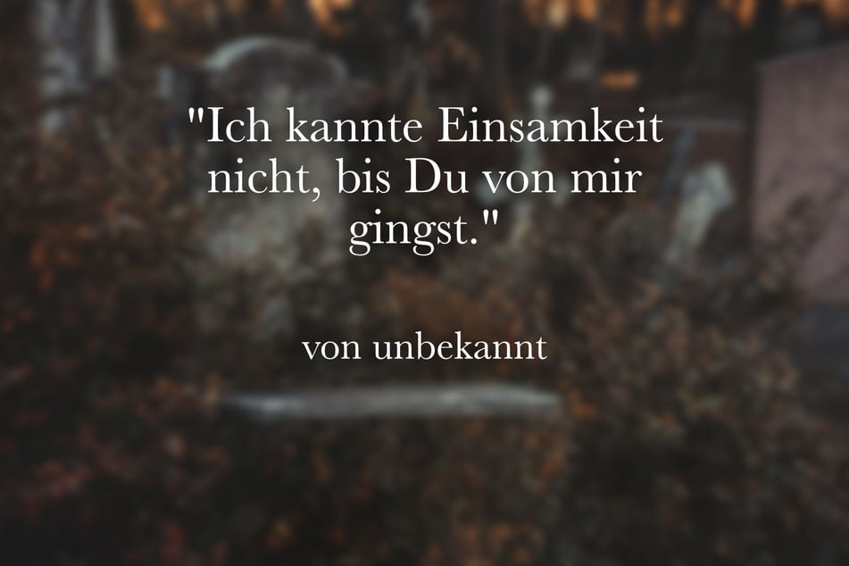Zum Vermissen eines Verstorbenen passt der Spruch: "Ich kannte Einsamkeit nicht, bis Du von mir gingst."