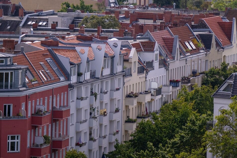 Das Schwein lebt in einem Berliner Altbau – laut Gericht ist die Haltung in der Wohnung nicht artgerecht. (Symbolfoto)