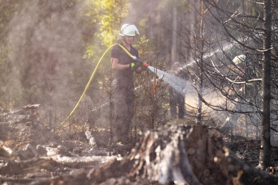 Einsatzkräfte der Feuerwehr bekämpften mehrere Stunden die Waldbrände im Taunus.