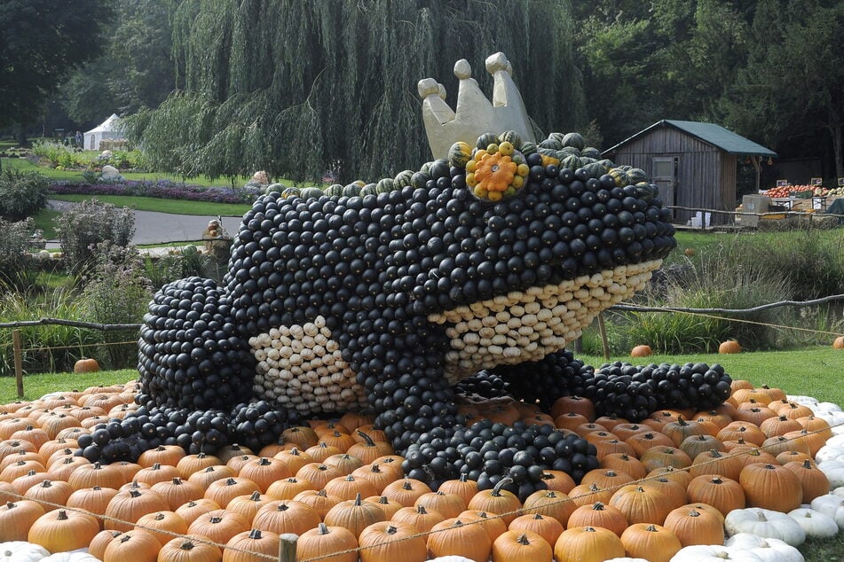 Die märchenhaften Figuren wie ein Froschkönig werden aus lauter Kürbissen gebaut.