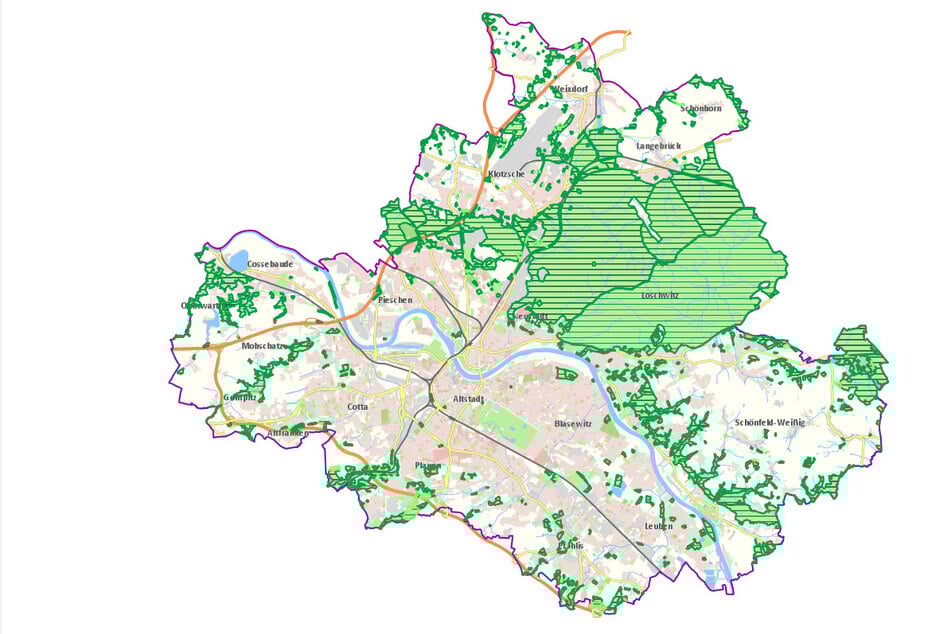 Die Karte von Dresden zeigt die grün markierten Wälder im Stadtgebiet.