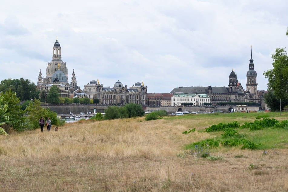 In der kommenden Woche liegen graue Wolken über Elbflorenz.