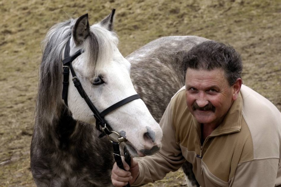 Ein großer Pferde-Mensch: Viele Jahrzehnte betreute Obersattelmeister Peter Müller (†75) Pferde und Lehrlinge in Moritzburg.