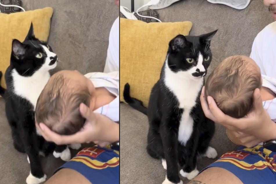 Cat's precious reaction to new baby leaves mom swooning!