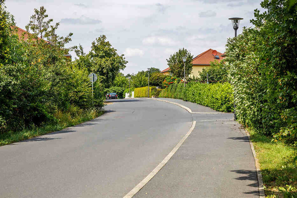 Die kleine Straße in Klotzsche trägt den Namen des dänischen Schriftstellers, der in Dresden lebte.
