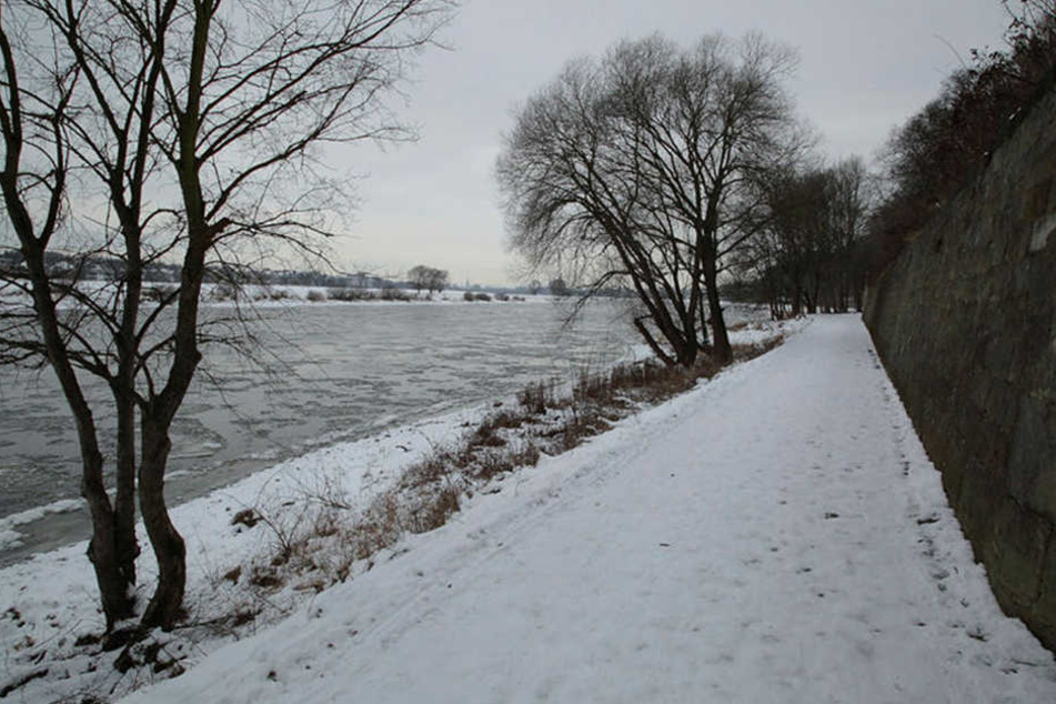 Auch jetzt, im Januar 2017, sind wieder Eisschollen auf der Elbe.