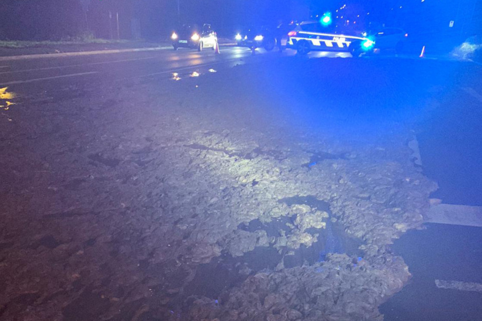 Ekel-Crash mit Laster: Schlachtabfälle bedecken Straße