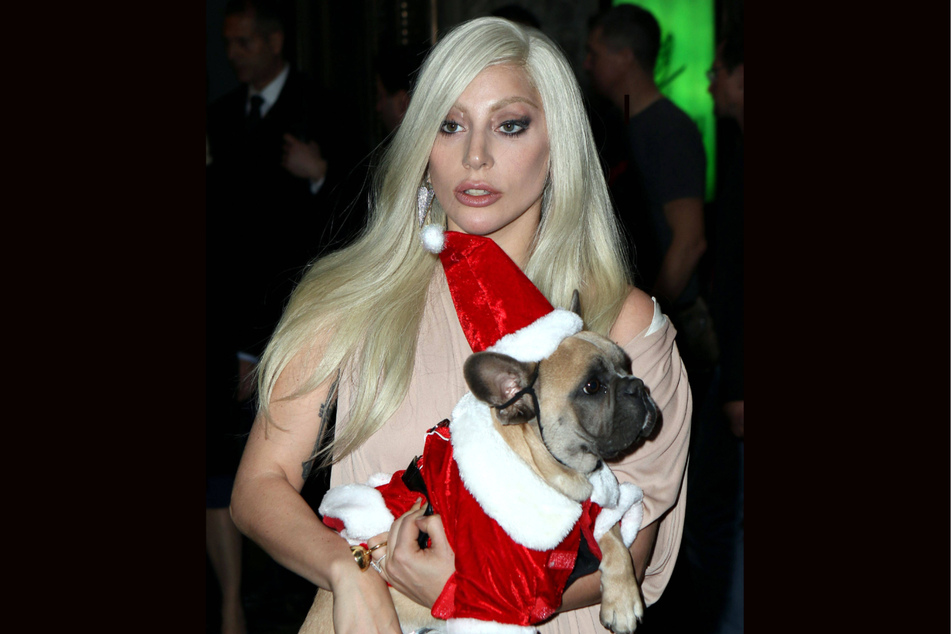 Lada Gaga with her dog Stella at the 2015 Billboard Women in Music Awards. (Archive image)