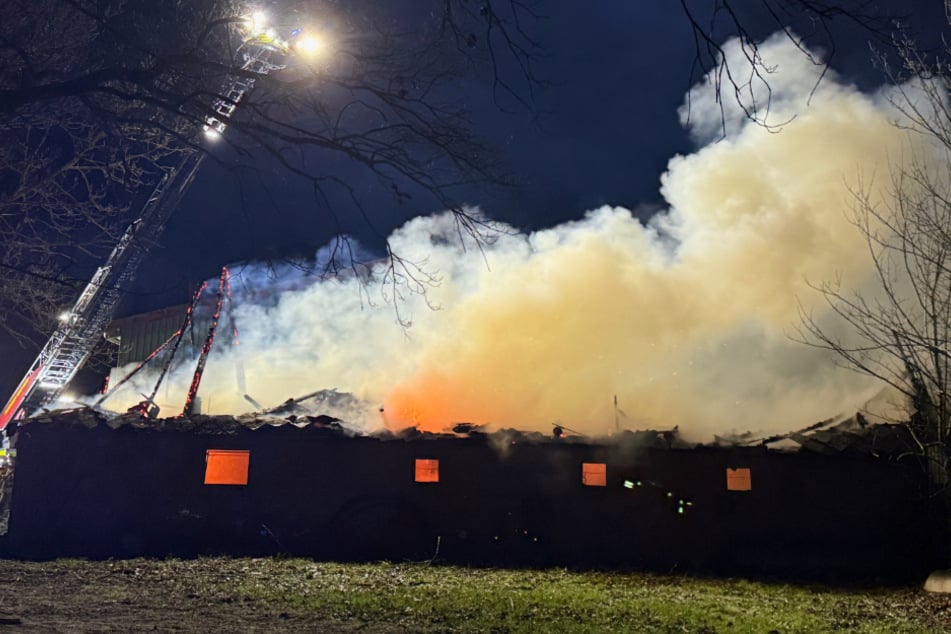 Auf einem Bauernhof in Geesthacht bei Hamburg ist am Donnerstagabend ein Großbrand ausgebrochen.