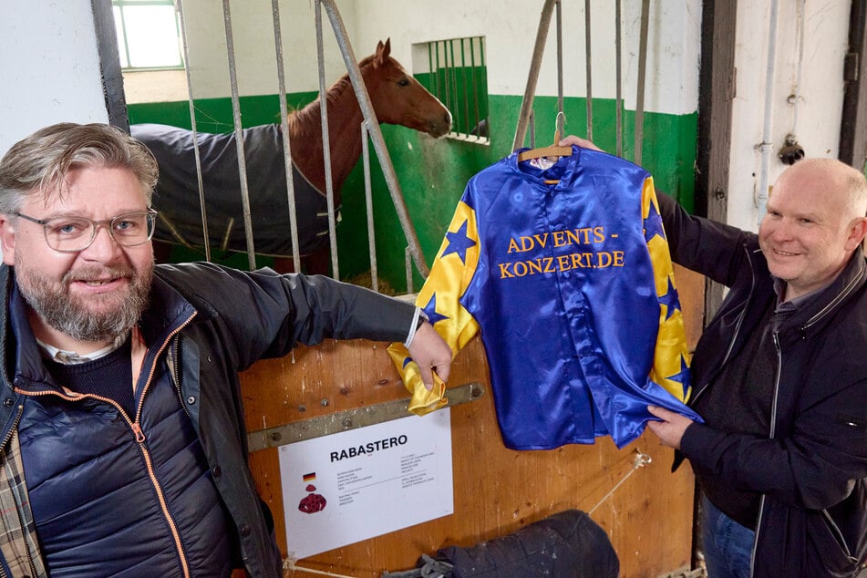 Dresden: "Jingle Bells" auf der Rennbahn: Wallach Rabastero startet fürs große Adventskonzert