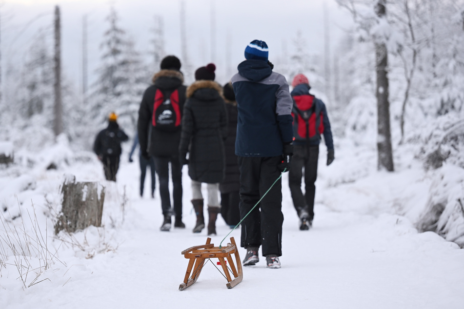 Wanderer mit Schlitten gehen auf dem mit Schnee bedeckten Goetheweg im Harz nahe dem Torfhausmoor in Richtung Brocken.